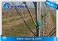 Palillo ULTRAVIOLETA de Rod For Plant Tree Support postes de la fibra de vidrio de Pultruded del inhibidor
